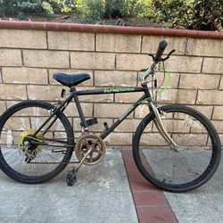 Mountain Bike magna alpine eagle