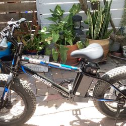 Macrunner 100 E-bike 