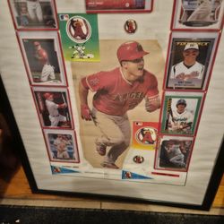 Michael's Trout Cards