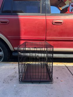 Medium Size Cage