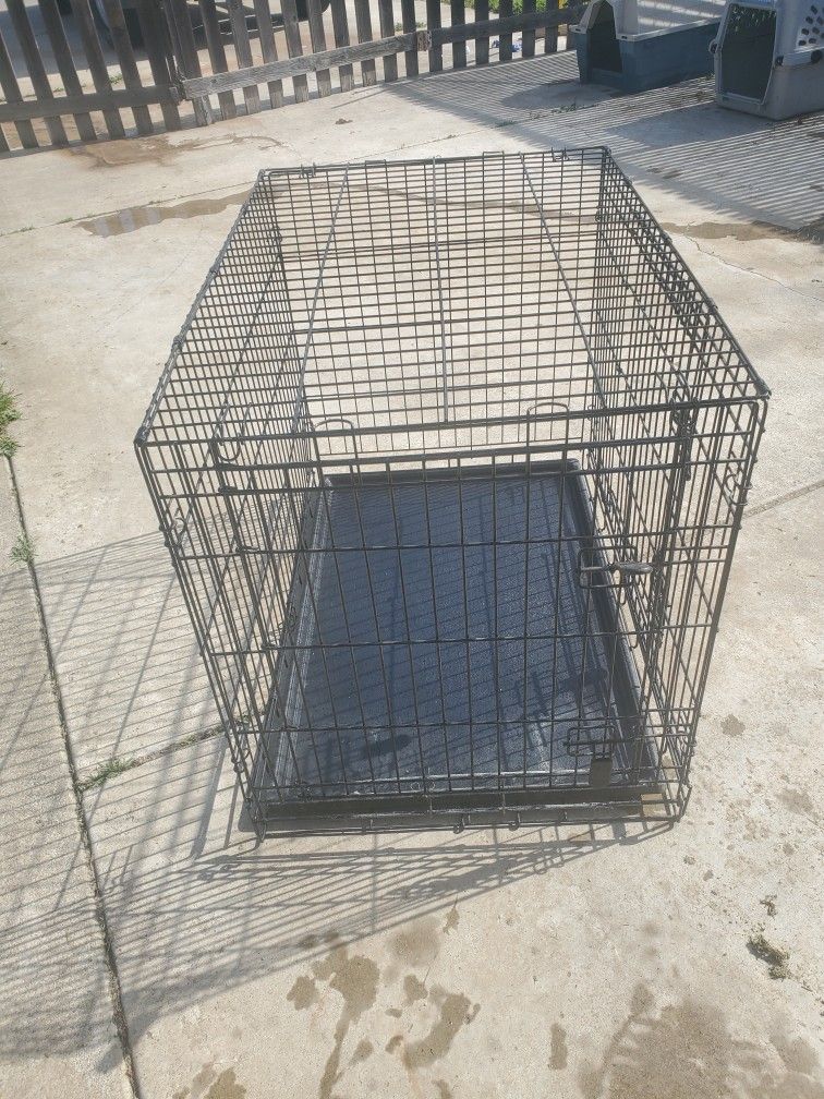 large dog Crate