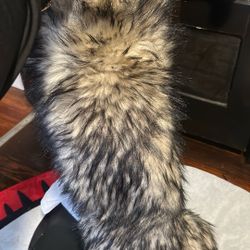 Knee High Fur Boots