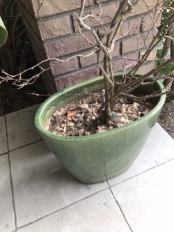 Large, Heavy, Oval Glazed Pot