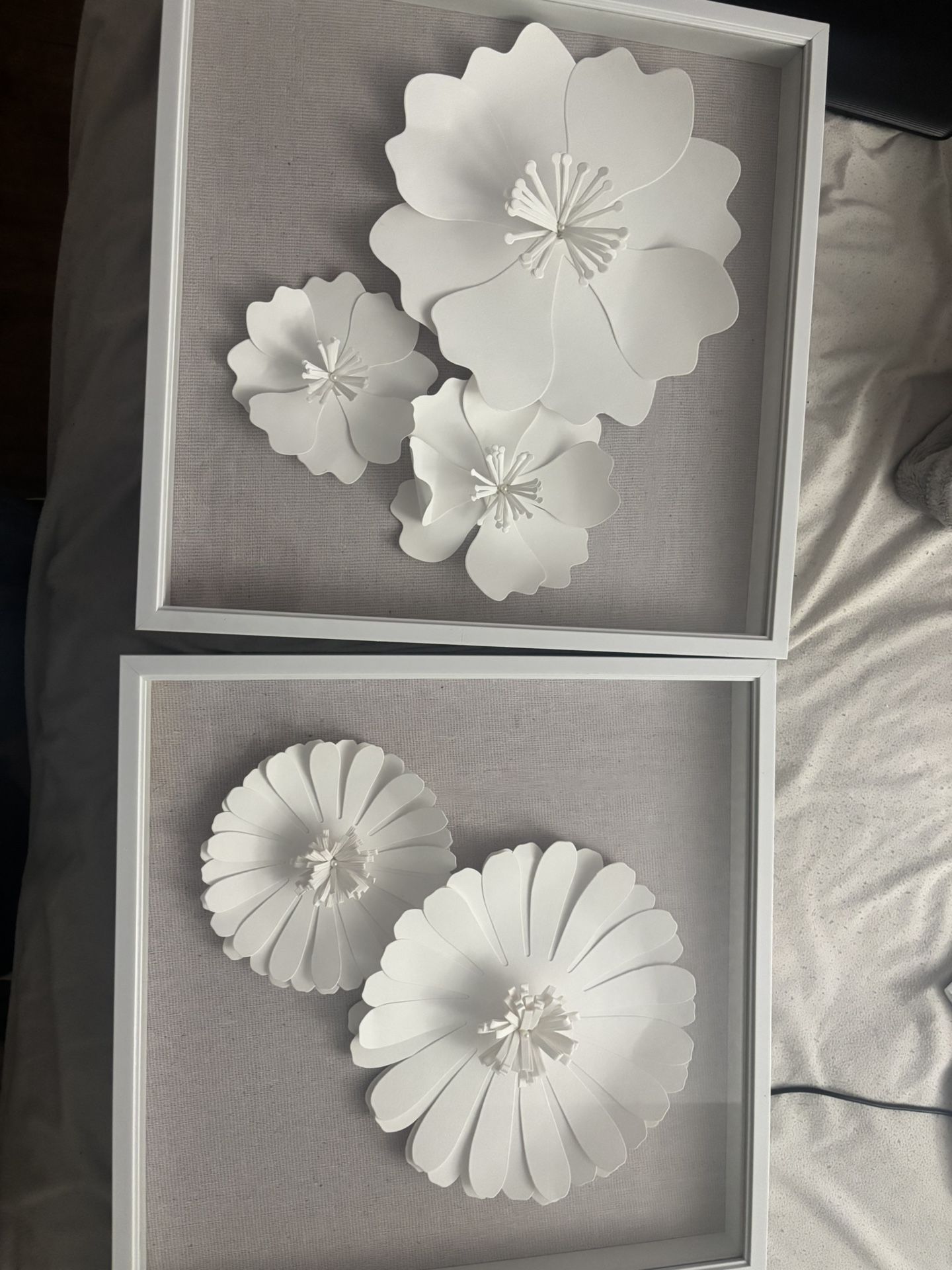 Flower Pictures 