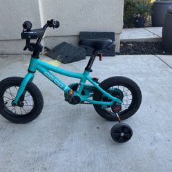 REI Co-Op Kids Bicycle 