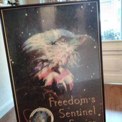 Real Nice Patriotic  Picture
