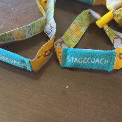 Stage Coach Ga