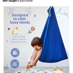 Sensory Swing New