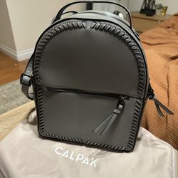 CALPAK Backpack