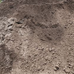 Top Soil - Yard