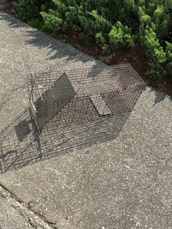 Live Animal Trap