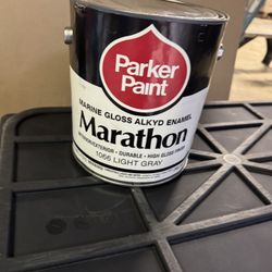 Light Gray Paint For Sale 