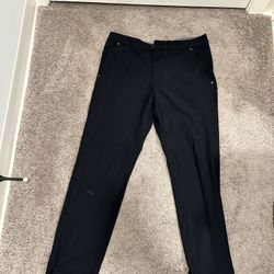 Express Performance Pants