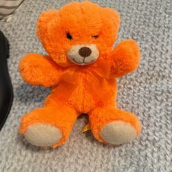 Bear 🐻 
