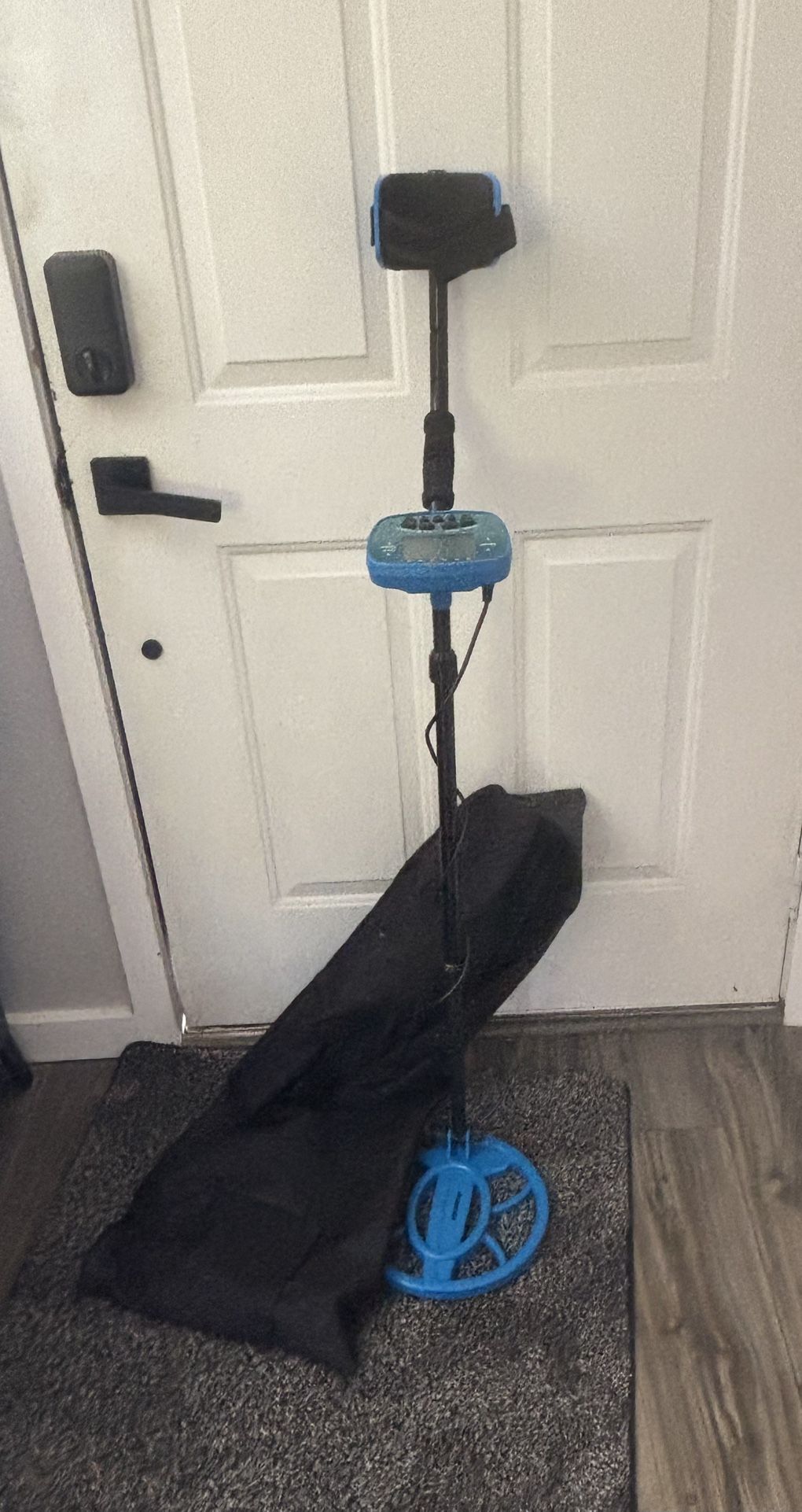 Metal detector with carrying case