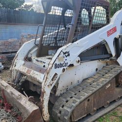 Bobcat