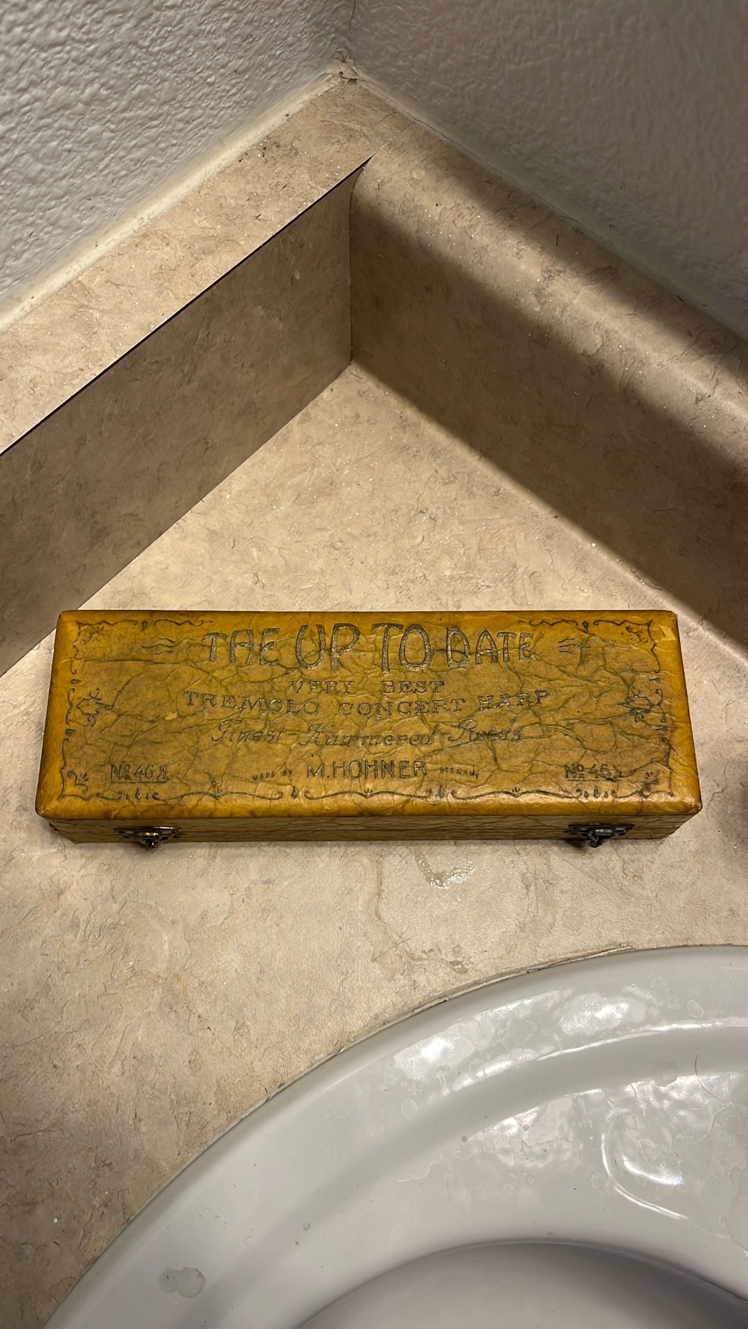 Rare Vintage Harmonica