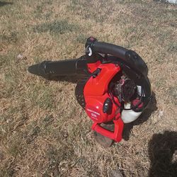 Craftsman Blower, Sopladora 