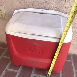 Igloo Cooler 