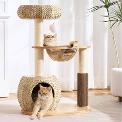 Natural Wood Cat Tree for Indoor Cats Large Adult, 38in H Cat Tree Tower with Scratching Posts, Hand-Made Wicker Cat Bed Cave, Cuddling Clear Capsule,