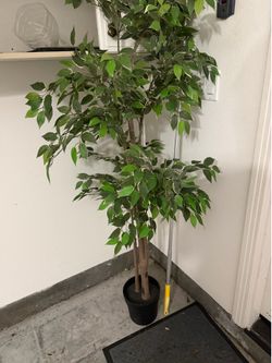 Fake plant