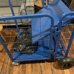 Collapsible Dolly