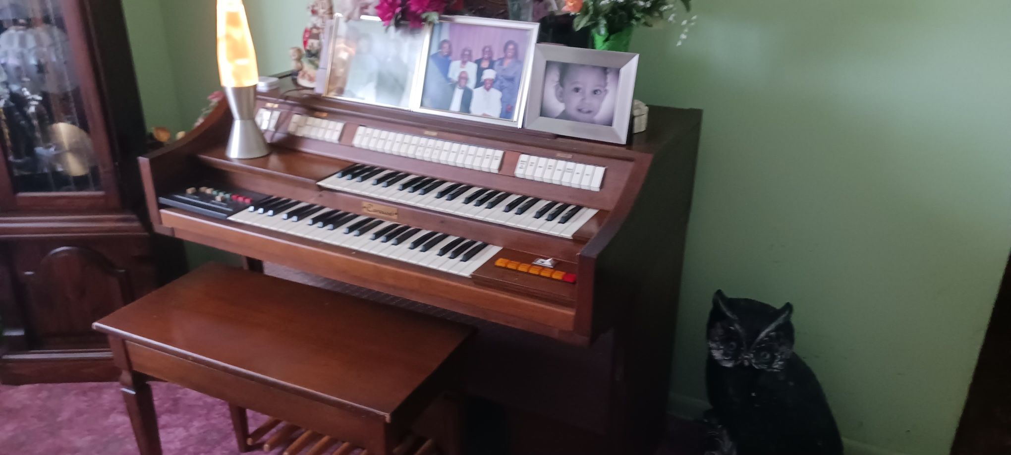 Organ And Bench