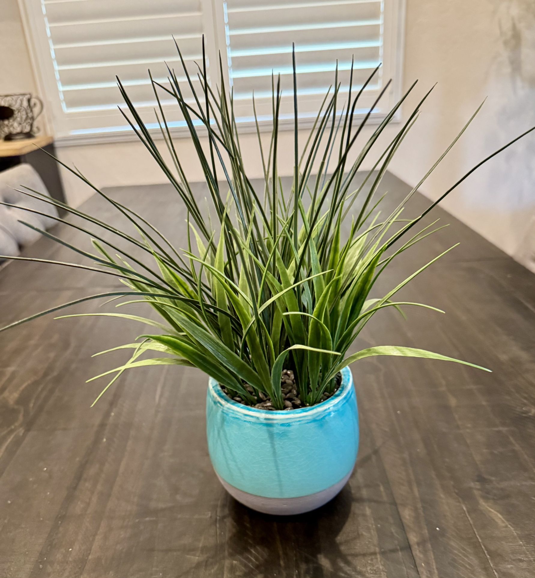 Fake House Plant