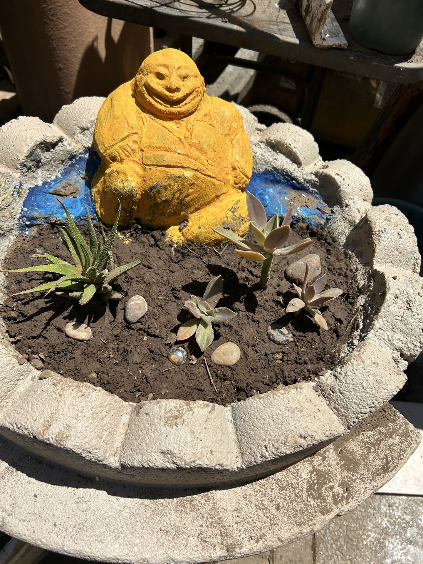 Buddha Statue Garden / Flower Por