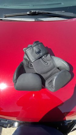 Venum Boxing gloves