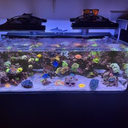 90 Gallon Top Quality Aqua Japan Fish / Coral Tank For Sale - 30 Gallon Sump