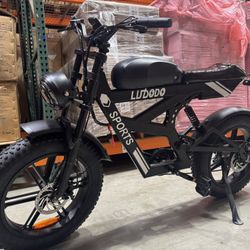 Motorcycle electric bicycle