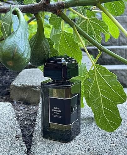 BDK Gris Charnel Extrait