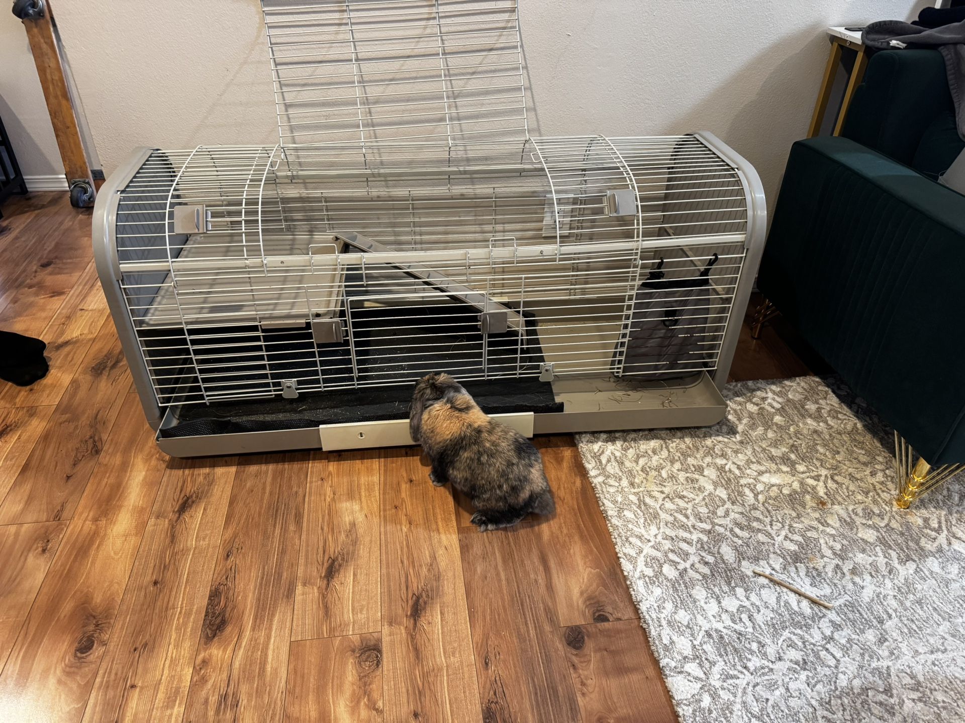 Spacious Small Animal Cage – Perfect for Rabbits, Guinea Pigs, or Ferrets