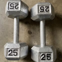 25 Lb Dumbbell 