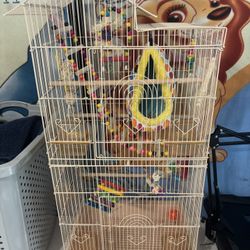 Bird Cage