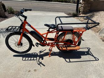 Radwagon Electric bike
