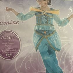 Jasmin Costume