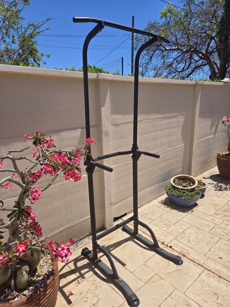 Pull Up Bar Workout