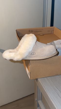 Brand New Uggs
