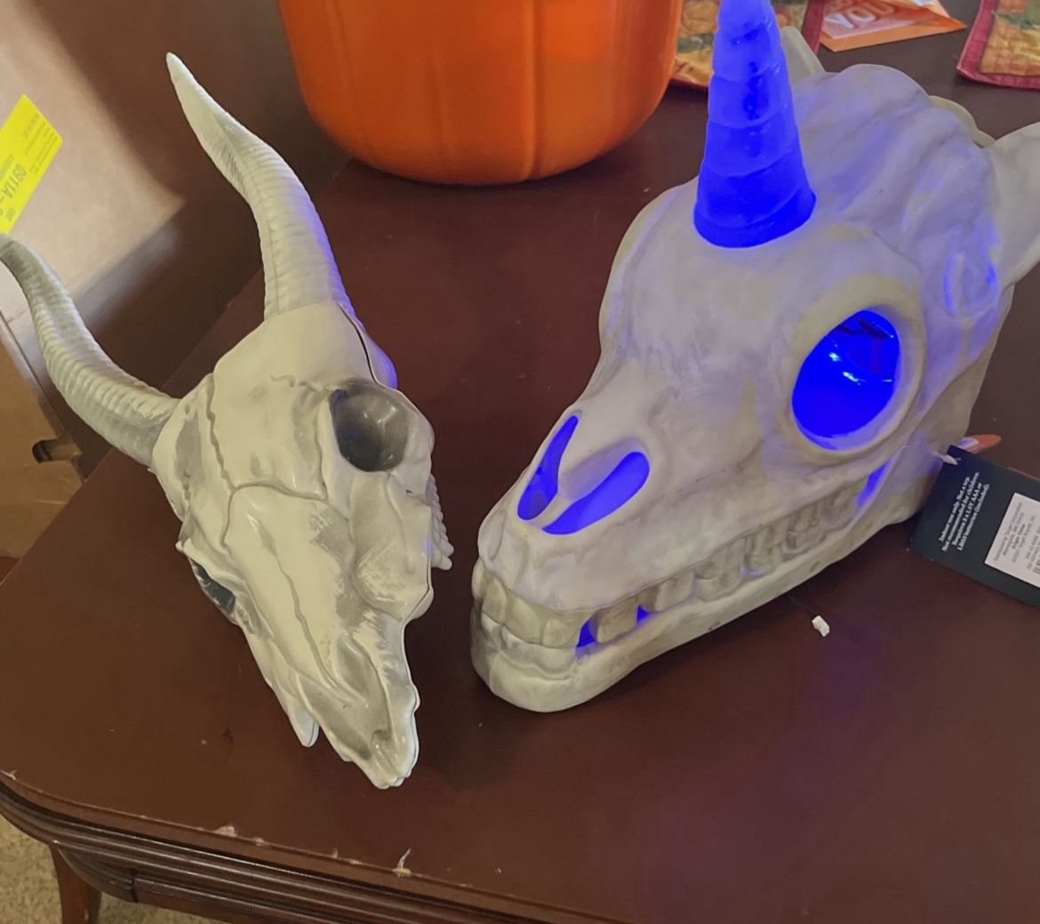 Halloween Decorations