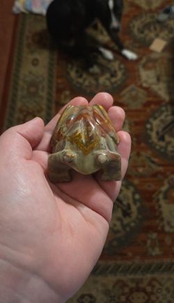 Polychrome Jasper Frog