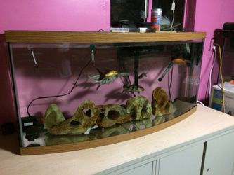 72 gallons Bow front aquarium / fish tank, Terrarium, Pond, Saltwater.