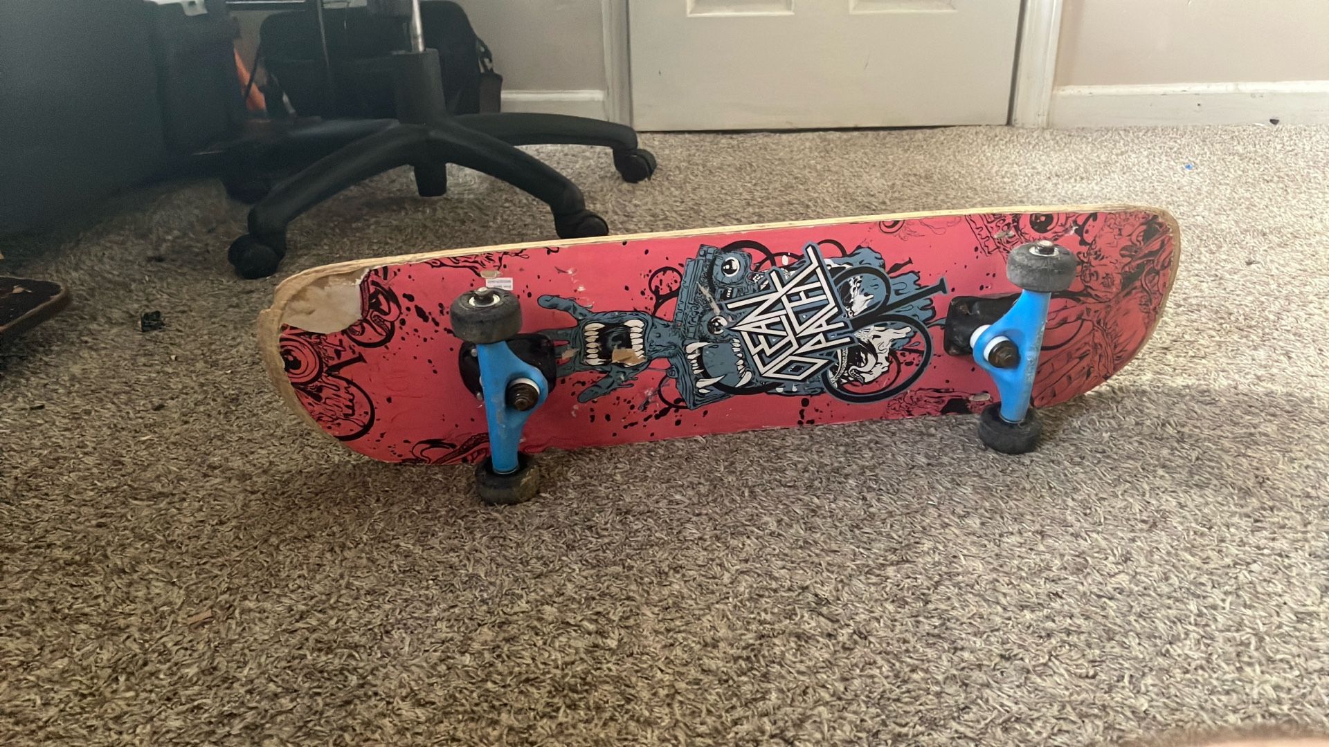 Skate Board