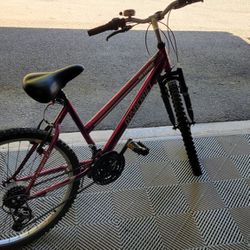 Dynacraft Purple Bike
