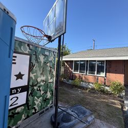Free Lifetime Basketball Hoop