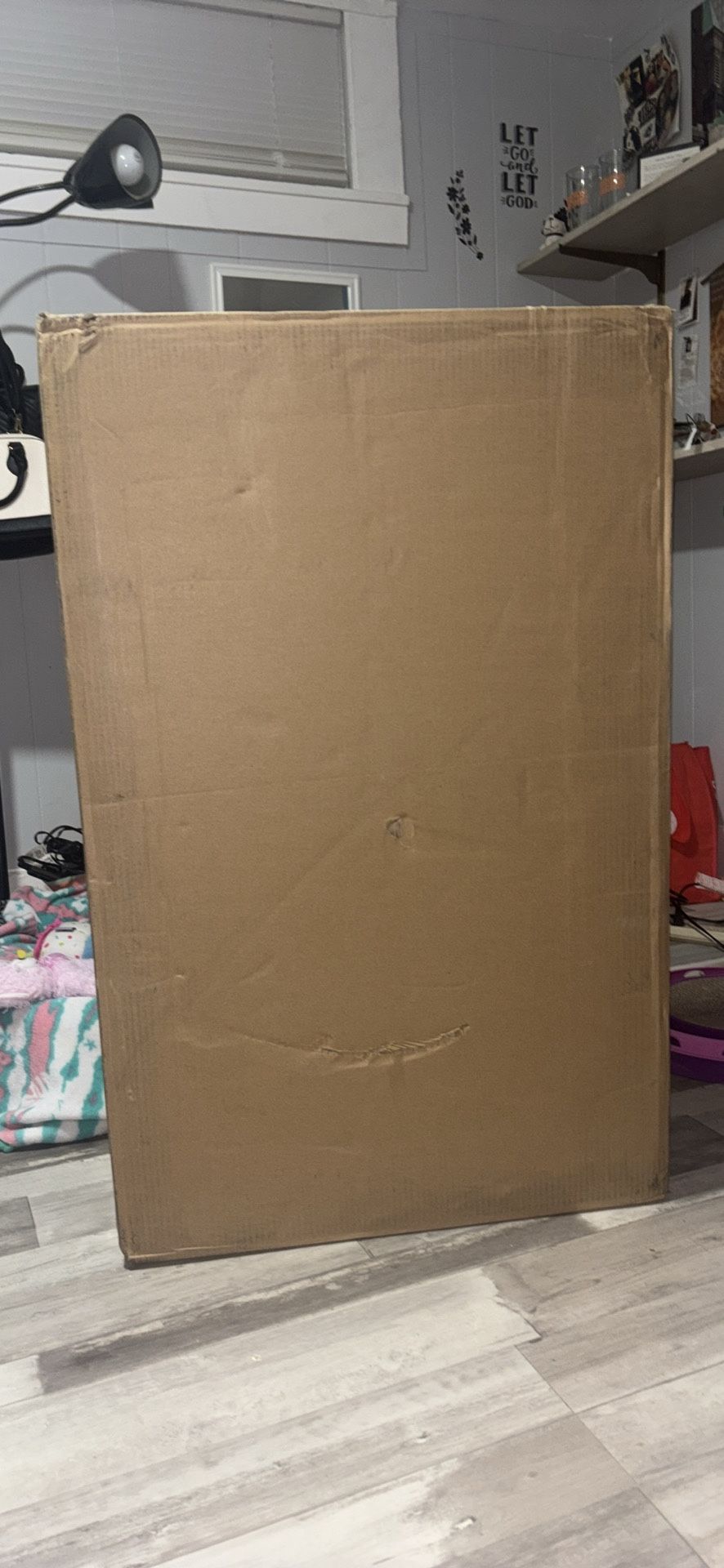 Brand New Outdoor Cat Shelter