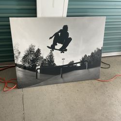 Skate Picture