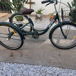 HIRAM  Sizr 26 Frame 17