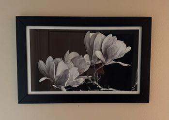 Magnolia Branch Painting Black And White From West Elm